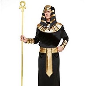 Halloween Pharaoh men’s costume. Price firm.